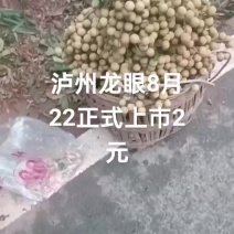 泸州龙眼以上市