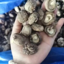 干香菇产地供应新货批发一件代发电商社区团购大量供应全国发