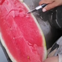 内蒙西瓜