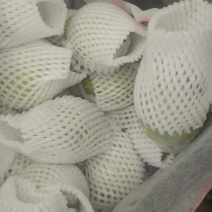 媚梨