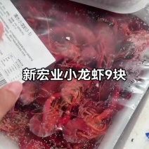 麻辣小龙虾九元13香小龙虾九元蒜香小龙虾九元香辣小龙虾九