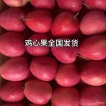 精品鸡心果出口电商礼盒产地现货批发