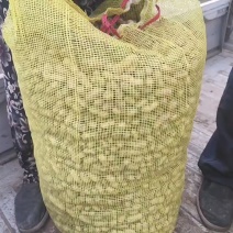 水果花生