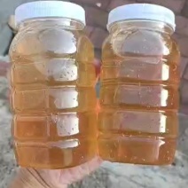 房山区***野生蜂蜜，原生态***，健康甜蜜好选择