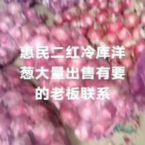 冷库洋葱大量现货需要
