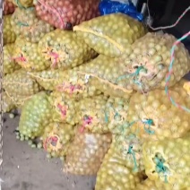 云南小香核桃需要可以订购