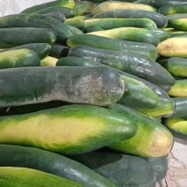 河南漯河地瓜涨价中