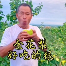 金花梨