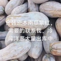 南瓜