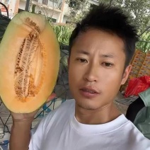 哈密瓜