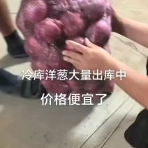 洋葱