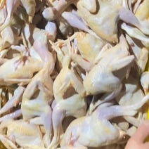 冰鲜鹧鸪肉