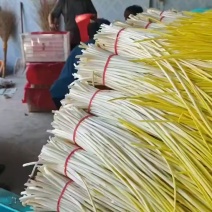 蒜黄大量上市