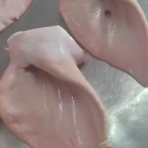 猪耳朵大量现货