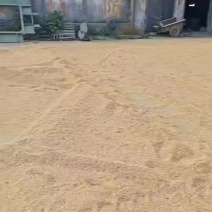 稻谷大量上市