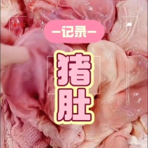 精品猪肚，现货​性价比高，非常适合餐饮，卤肉熟食店等
