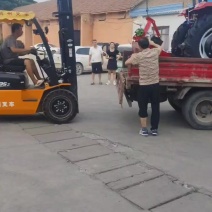 中国洛阳中拖发货。