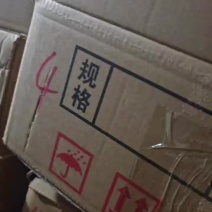 二级鸽子300只