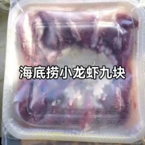 9元海底捞麻辣小龙虾1.25kg2025年新虾均级4