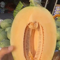 哈密瓜