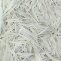银鱼
