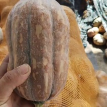 花生南瓜