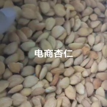 甜杏仁大货批发各种规格