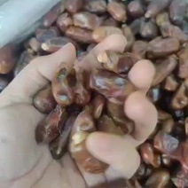 黑椰枣