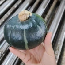 正在机洗爆粉内蒙贝贝，价格美丽，粉度卡卡高赶集团购市场的来吧