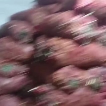 羽衣甘蓝解锁轻盈生活