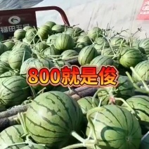 2k礼品西瓜