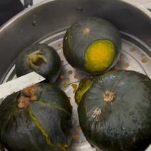 爆粉高次果贝贝南瓜