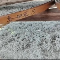 莓茶