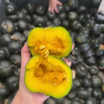 专业贝贝南瓜，出口电商团购，都可以接单各种品质各种规格的都