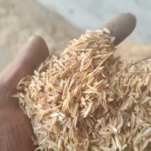 大量出售散稻壳、压缩稻壳，高质量，价格低，源头厂家直发