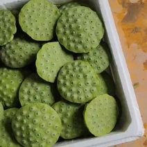 太空36号水果莲蓬批发