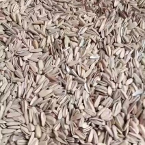 五香脱皮多味瓜子，电商通用货电商来聊