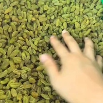 新疆葡萄干绿宝石