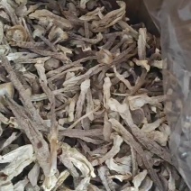 精品中条鹿茸菇干货食用菌批发嫩仔精品中条