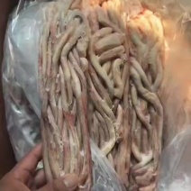 400条猪鞭10kg400条库温不好有一点轻微变味