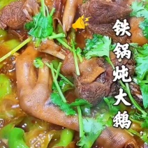 黄河大草鹅厂家直销量大从优