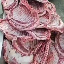 内蒙羊排大量现货量大从优