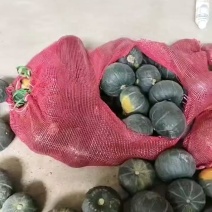 香糯贝贝南瓜大量供应