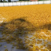 东北【干土豆片】