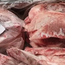 月牙骨精修颜色新鲜厂家直销量大从优