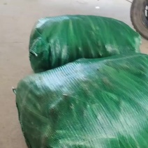 玉米笋