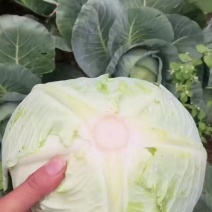 奥奇拉