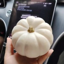 奶油贝贝