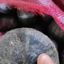 9-1.5精洗贝贝南瓜