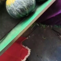 贝贝南瓜